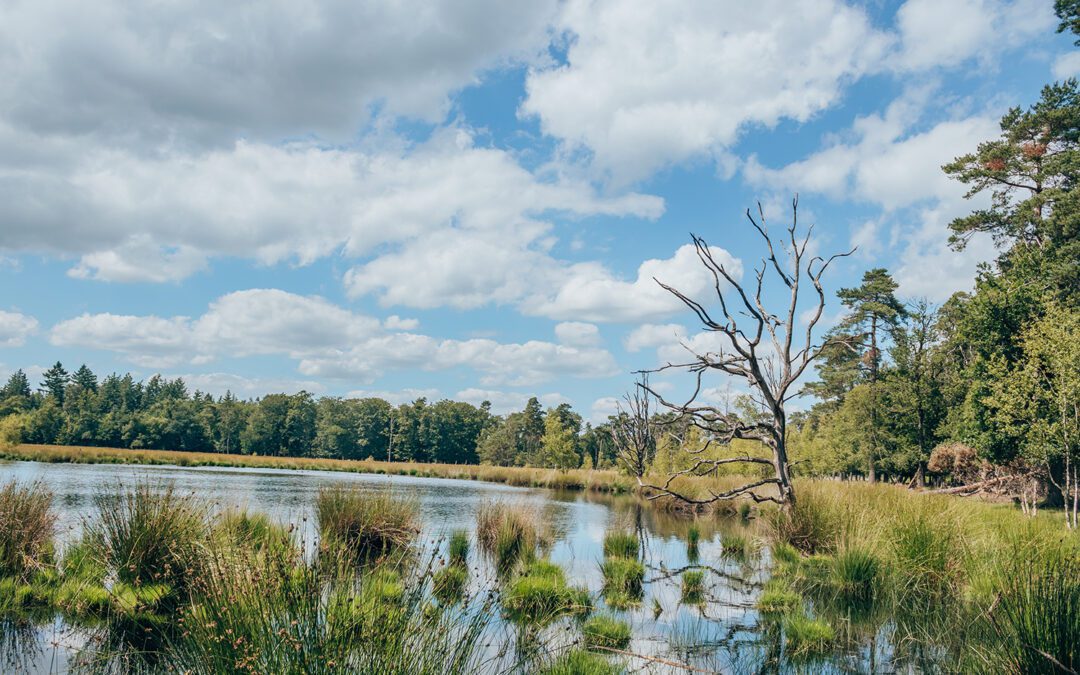 wandelroutes bij Borger