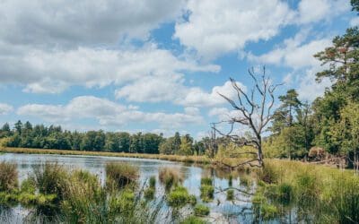 De mooiste wandelroutes bij Borger