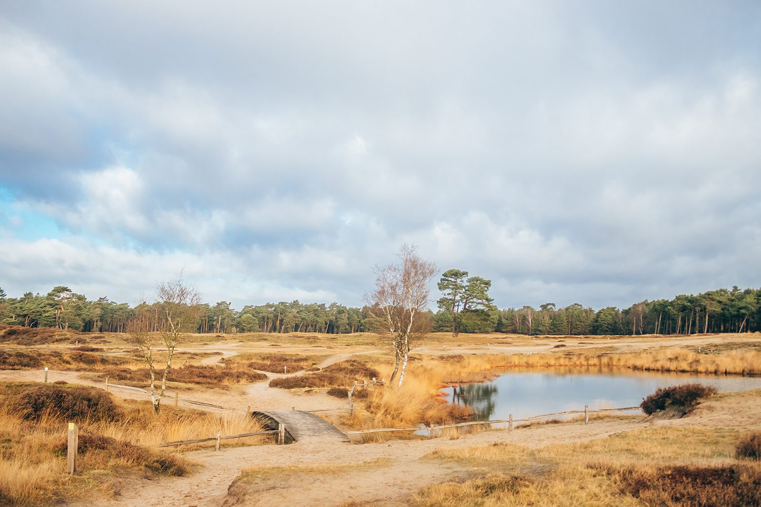 zandverstuivingen