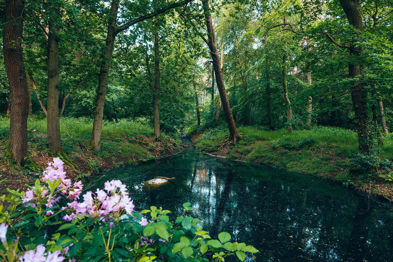 wandelen rondom zeist