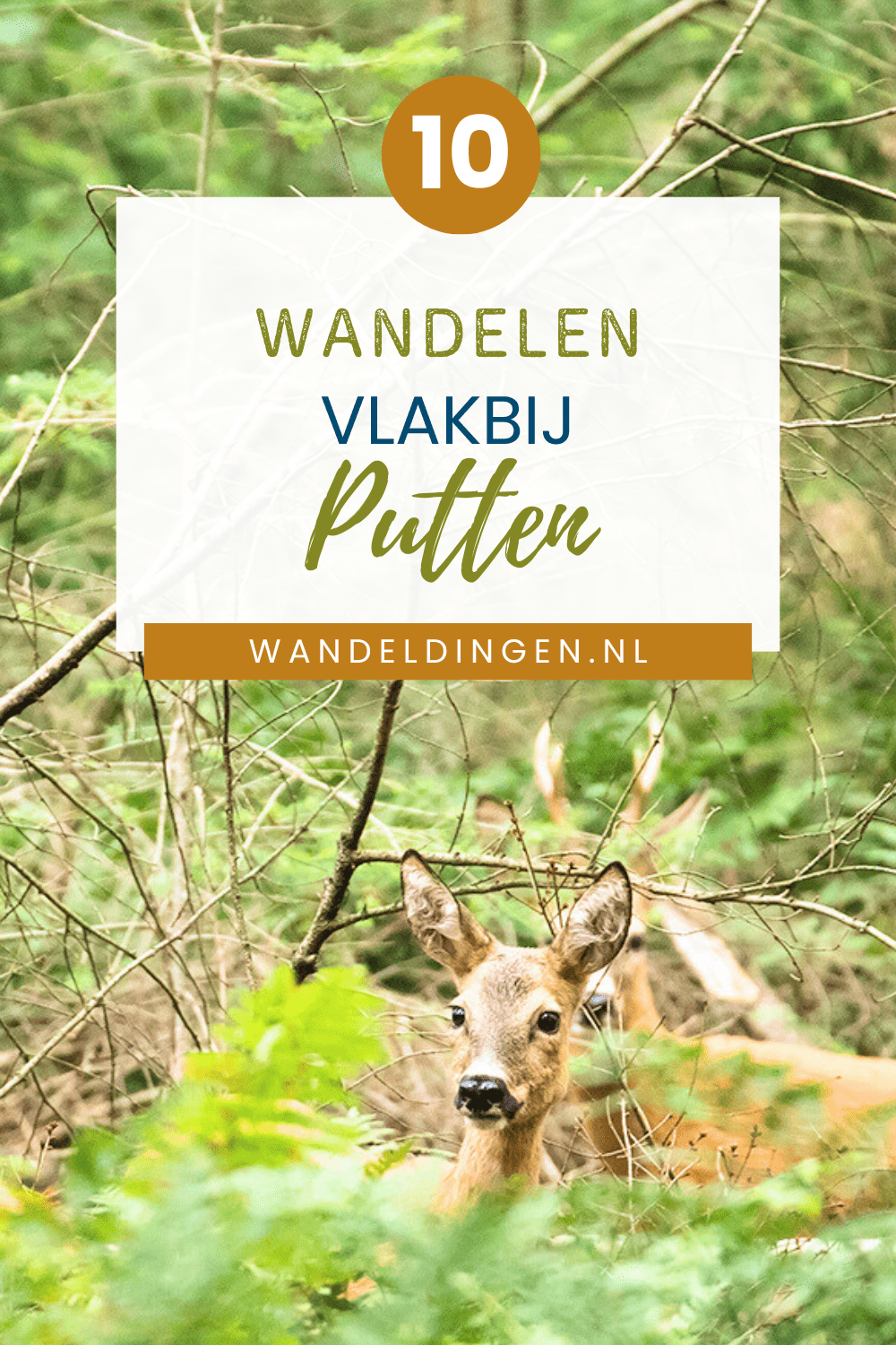 wandelen bij Putten wandelen bij Putten