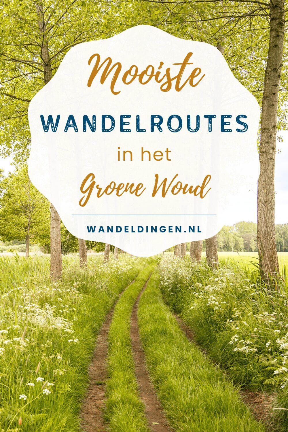 Groene Woud