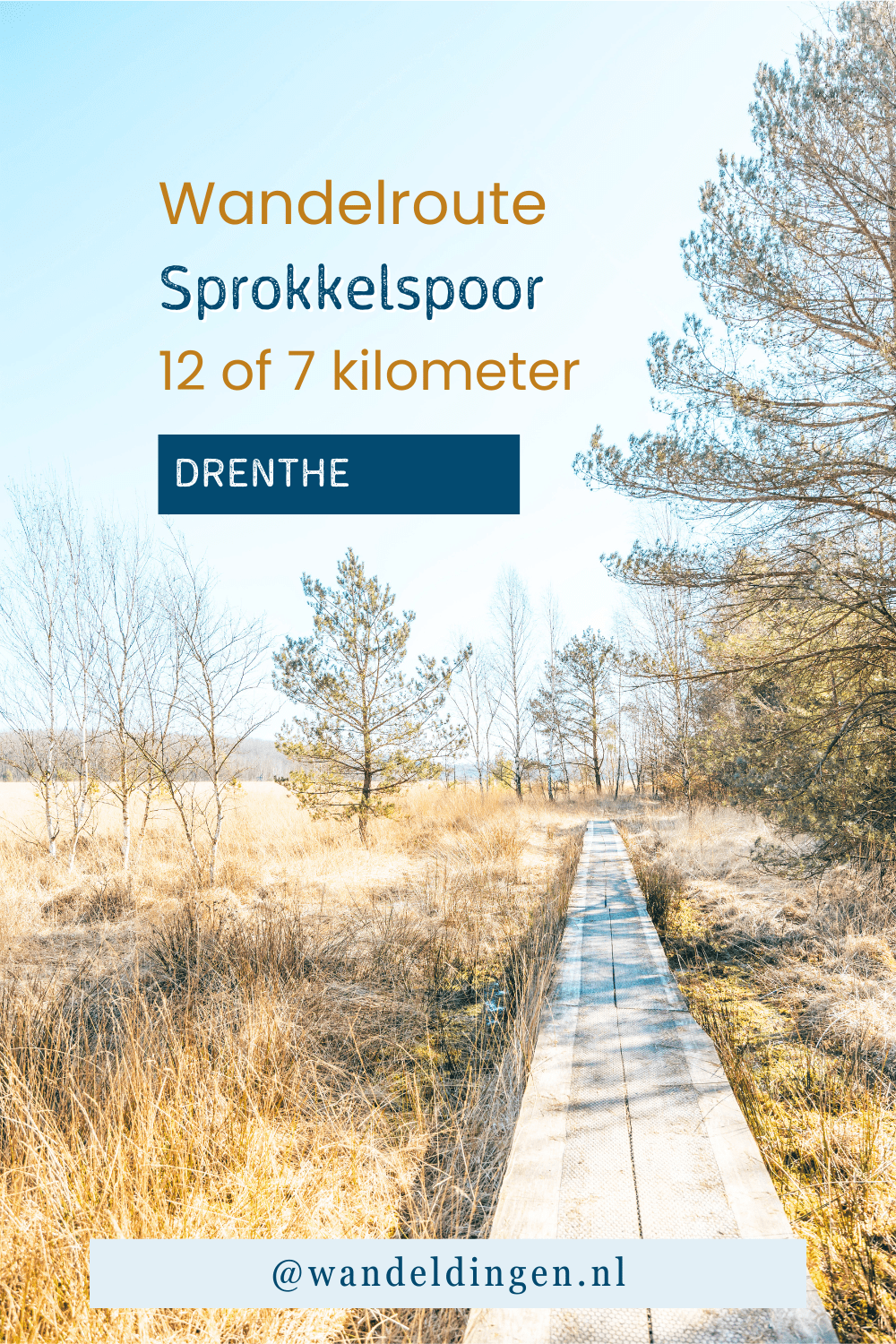 kienveen
