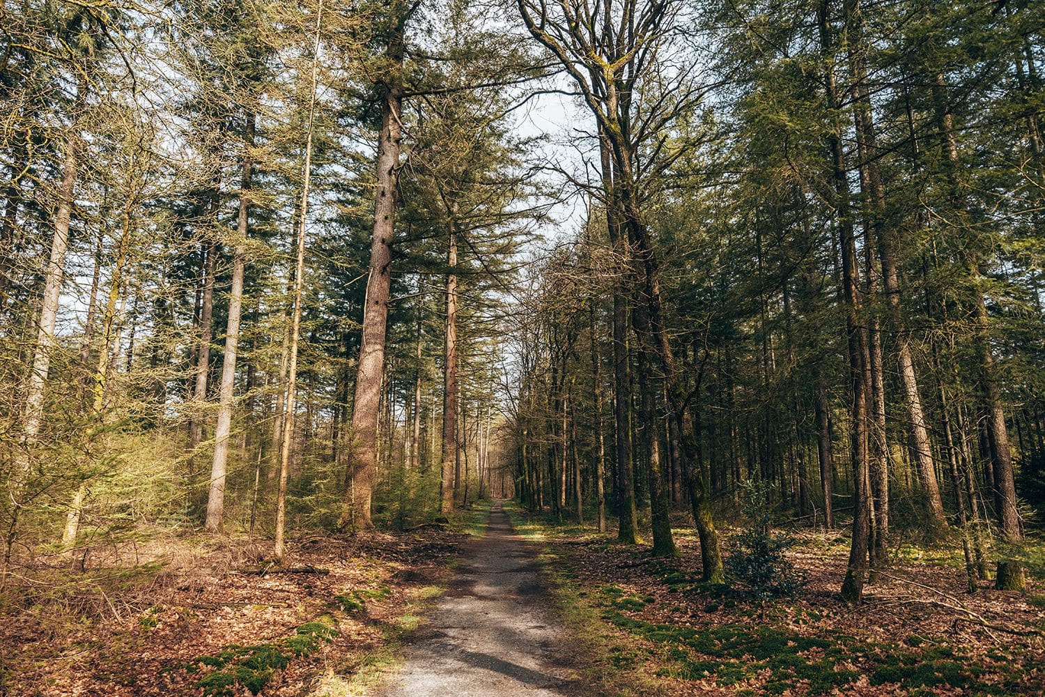 wandelen bij Putten wandelen bij Putten