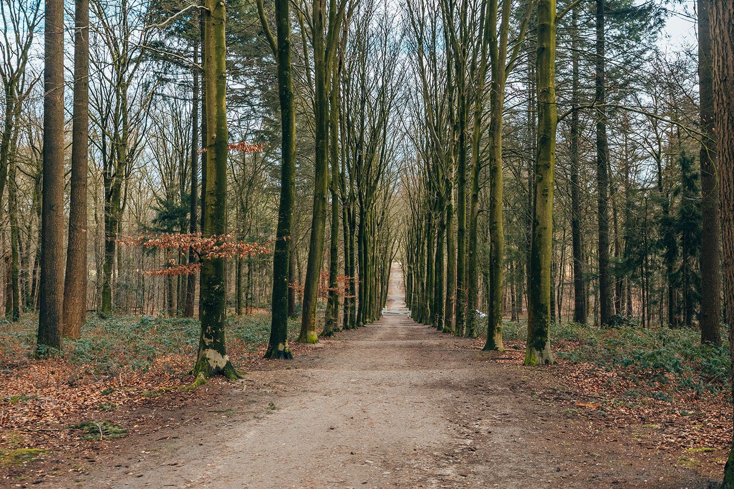 beekloopje Oosterbeek