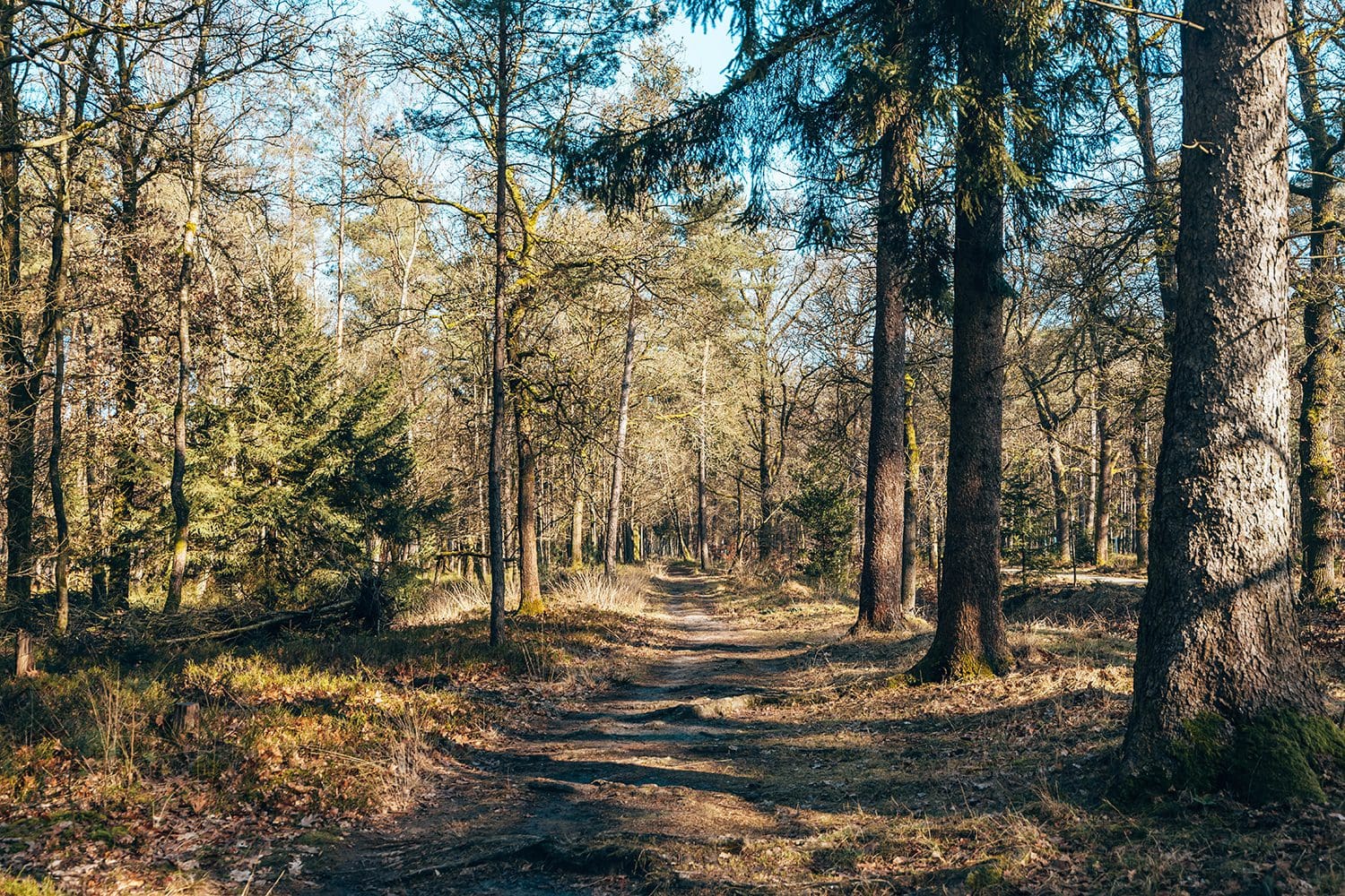 Veluwerandrondje Loenen