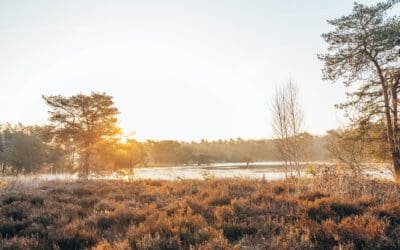 Komootroute Strijbeekse Heide 