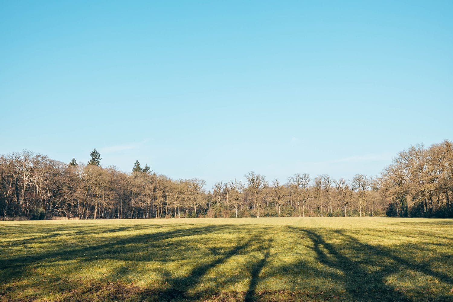 Strijbeekse Heide
