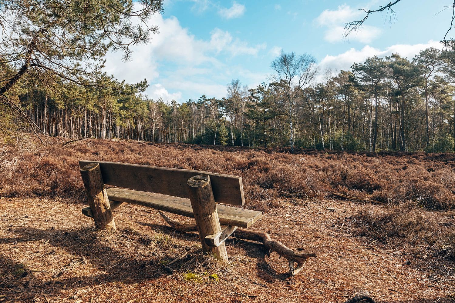 Biltse Duinen