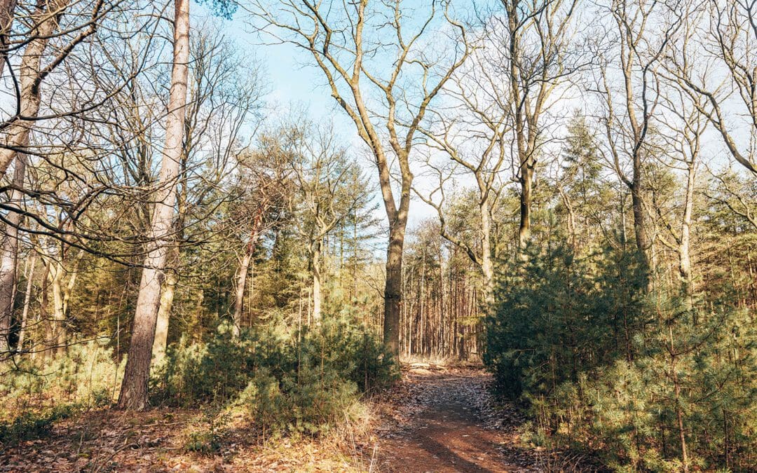 Biltse Duinen