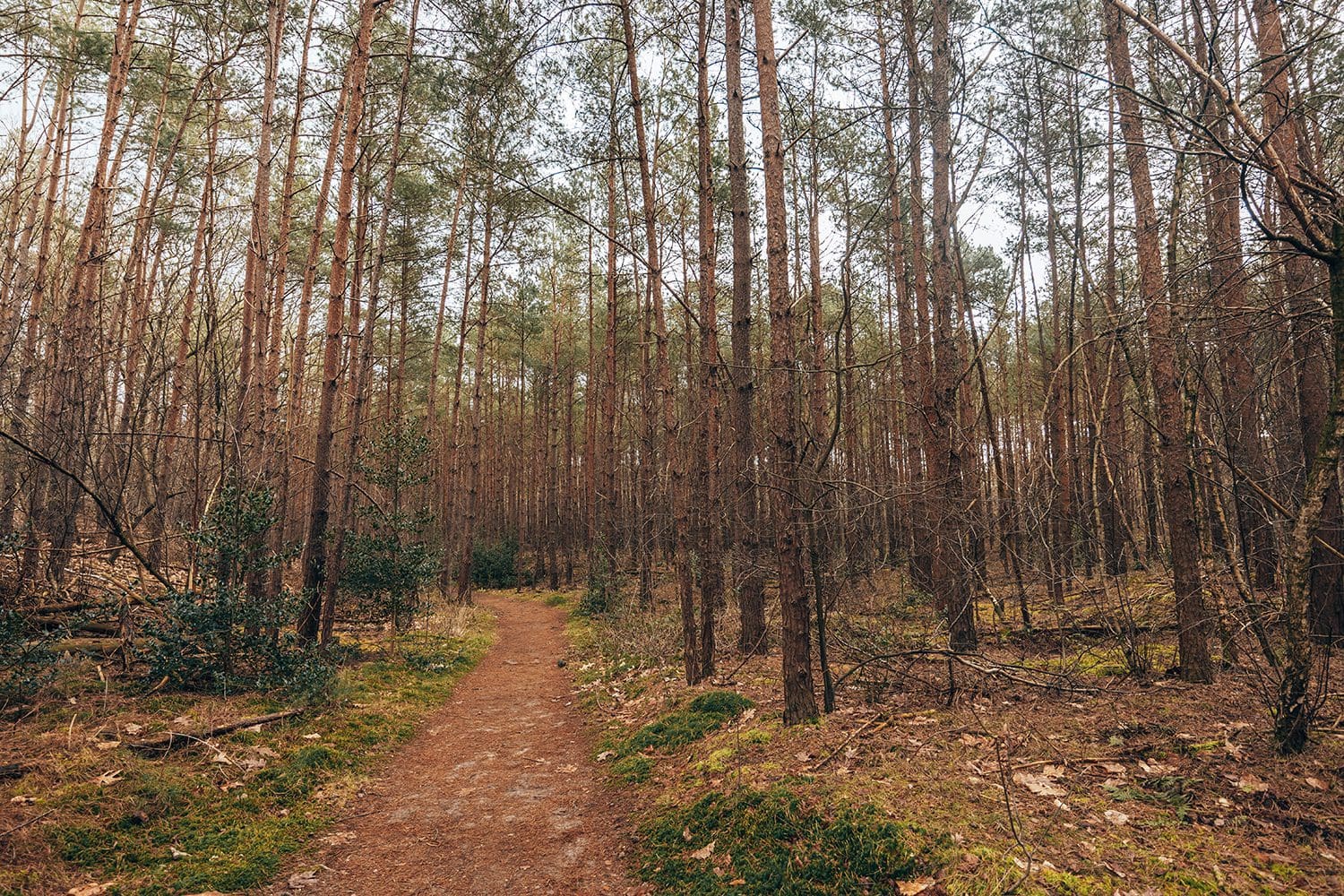 Biltse Duinen