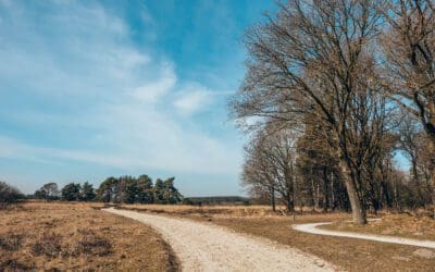 Oorlogsroute Holtingerveld 
