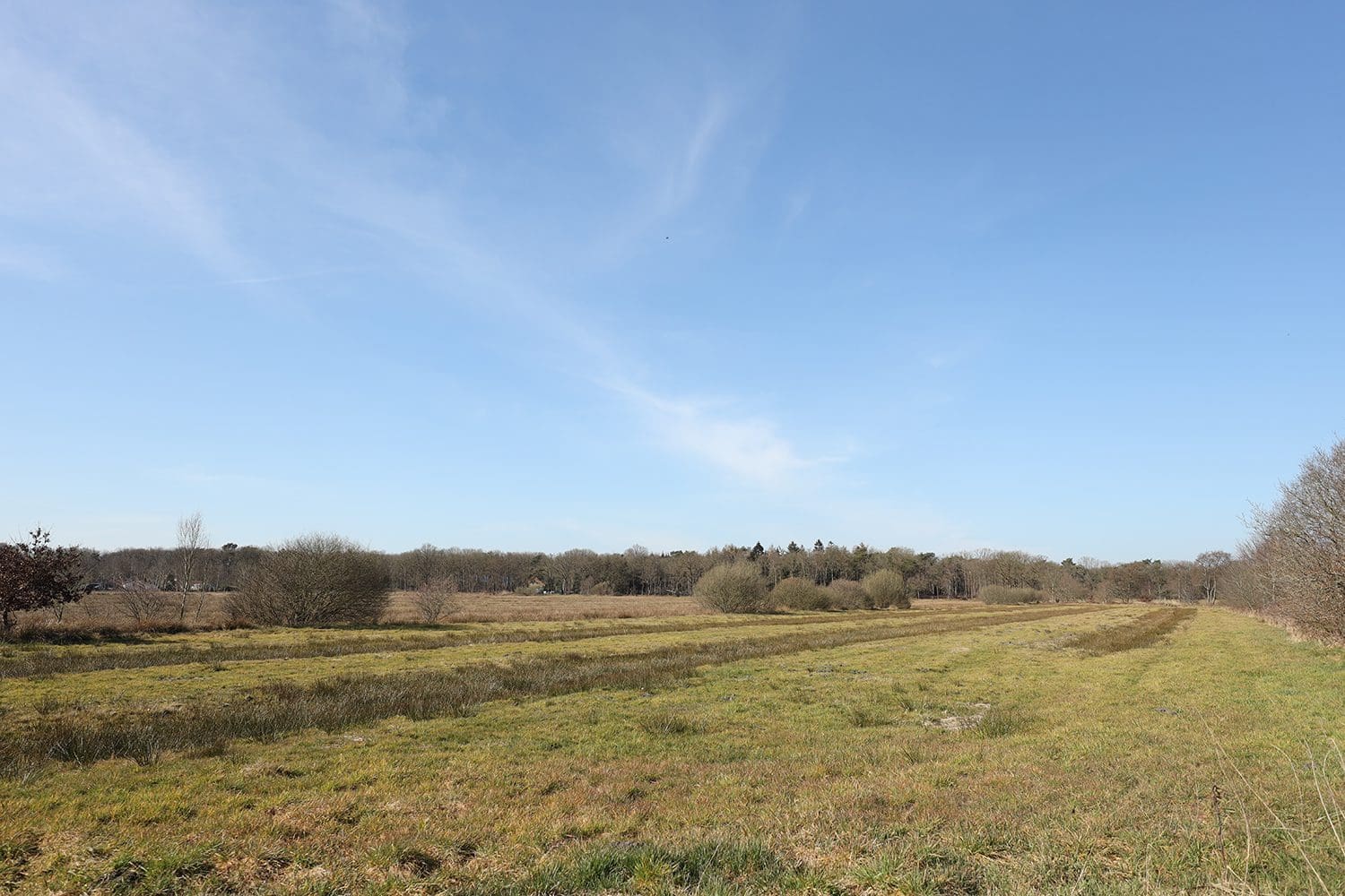 Huisje in het Veld