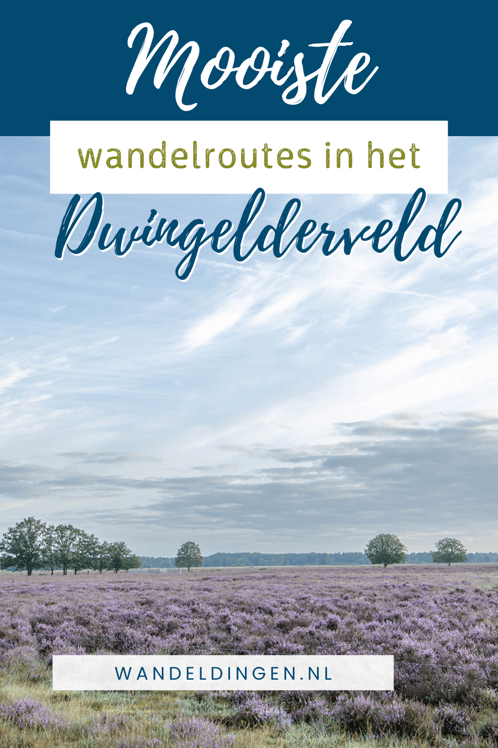 wandelroutes Dwingelderveld