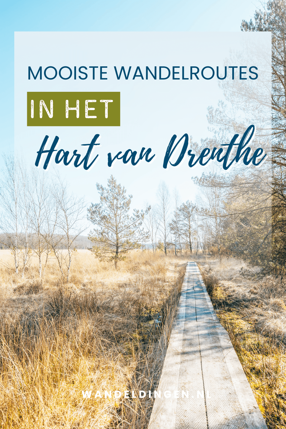 hart van drenthe