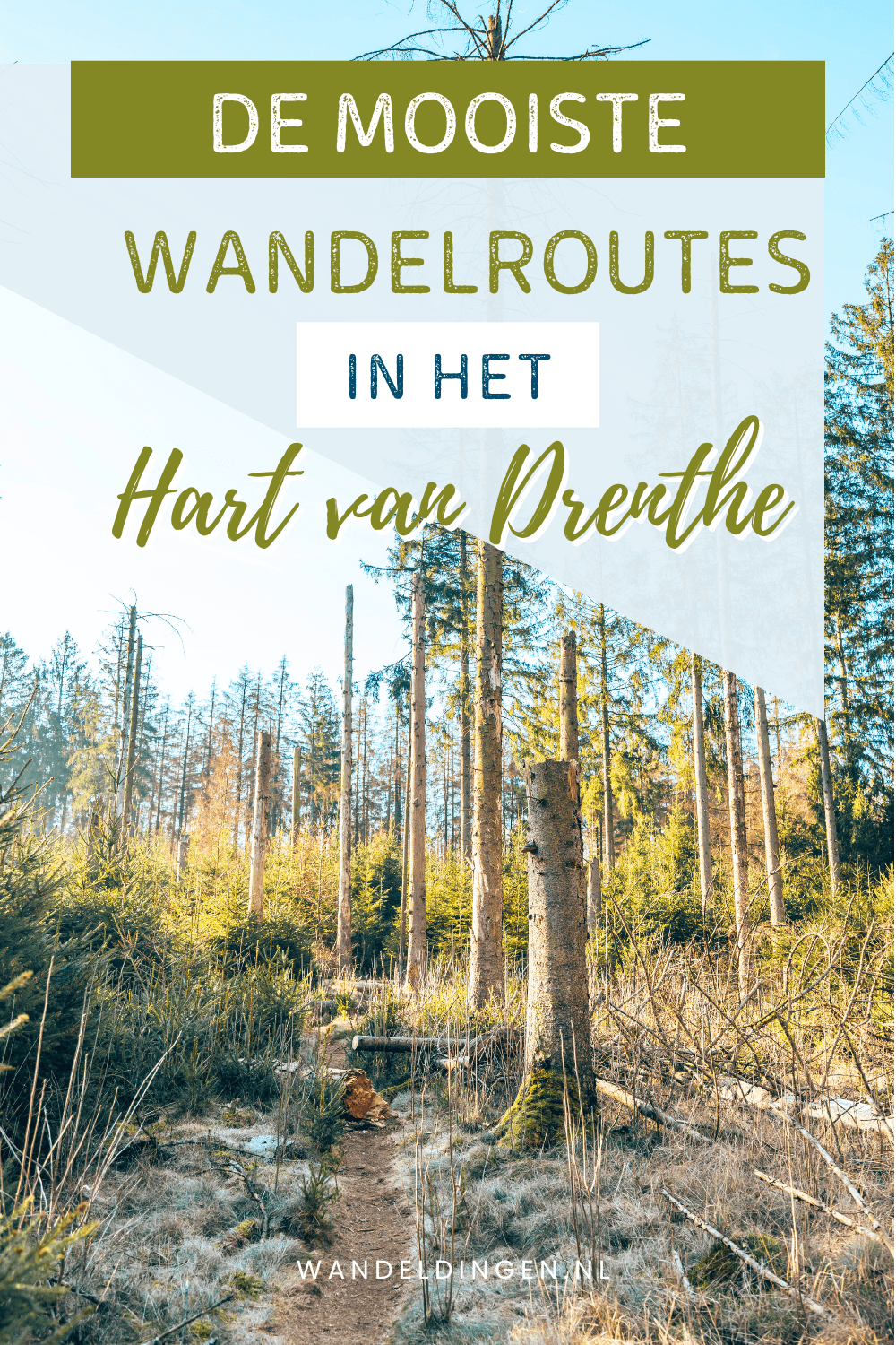 hart van drenthe