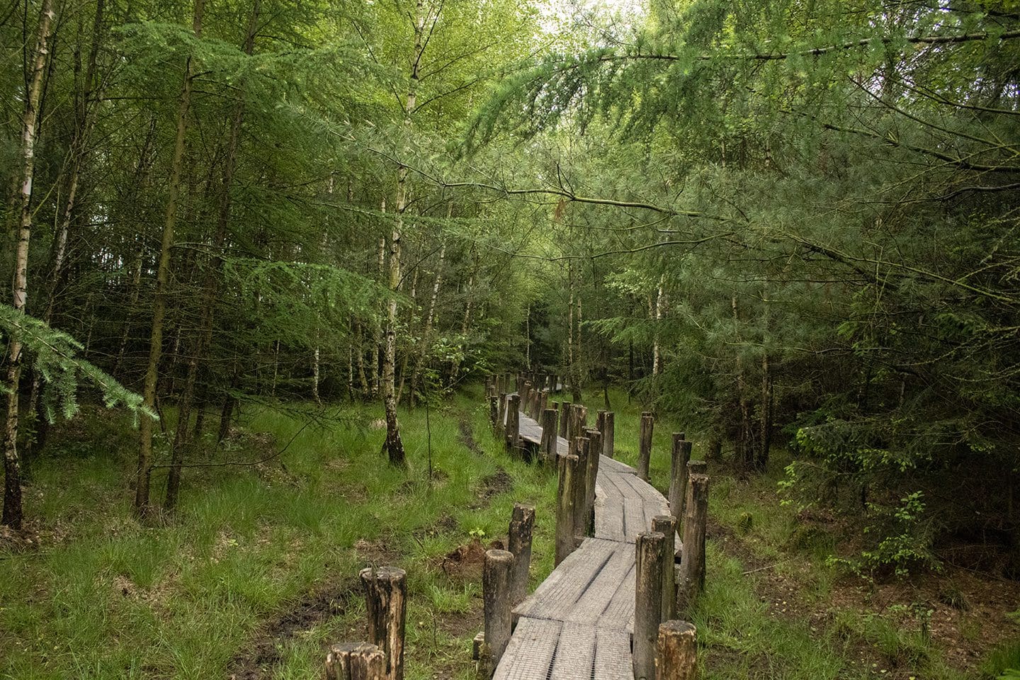 vlonderpaden