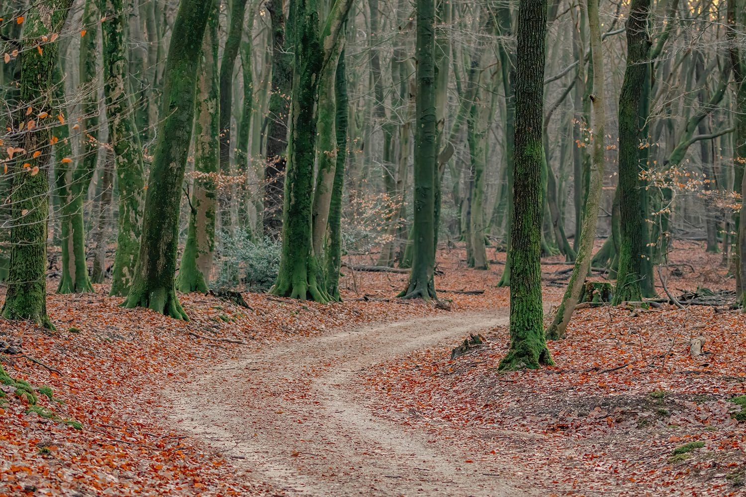 wandelen bij Putten wandelen bij Putten