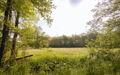 7x wandelen bij Tilburg 