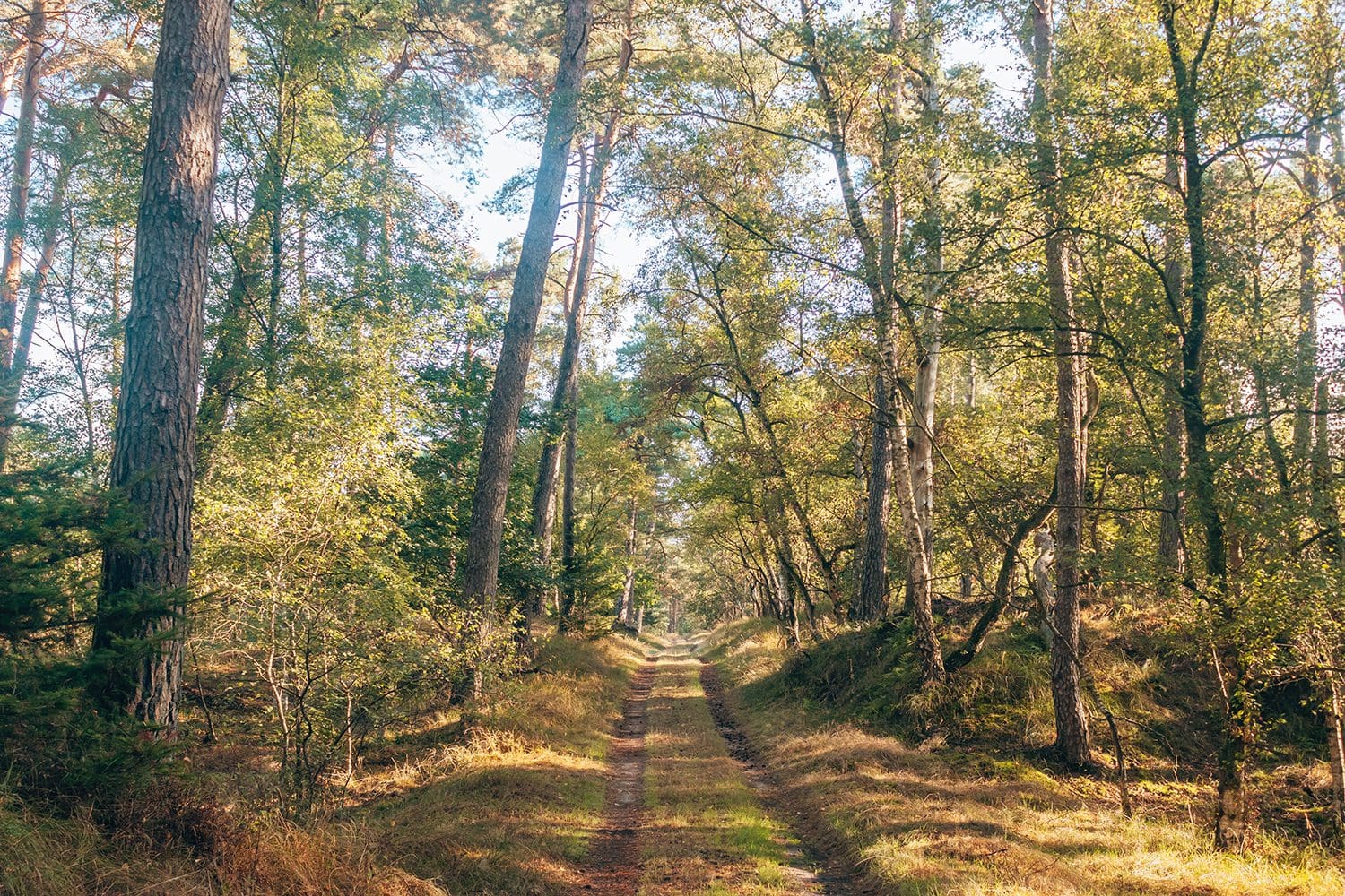 wandelen bij Putten wandelen bij Putten