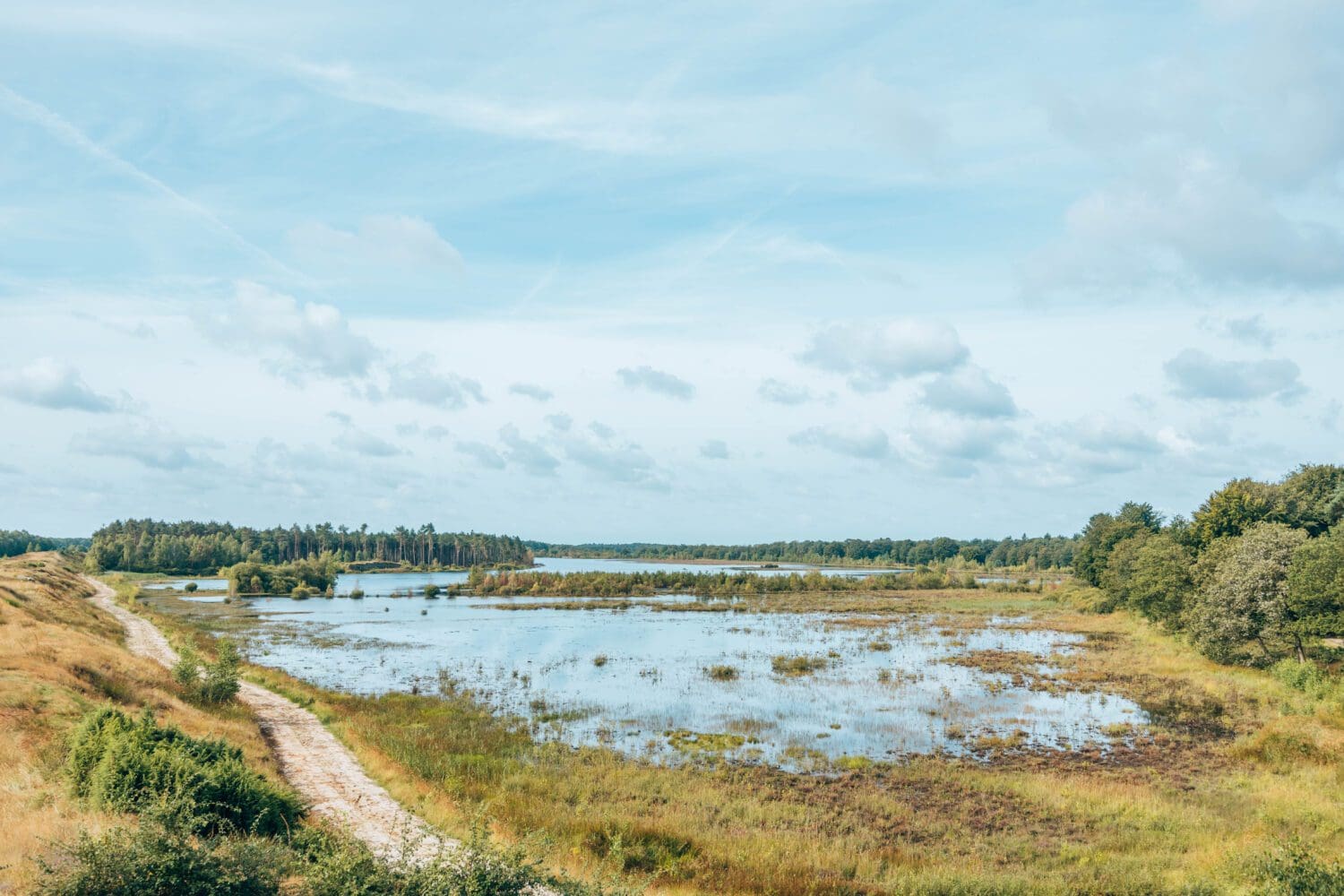 wandelroutes Dwingelderveld