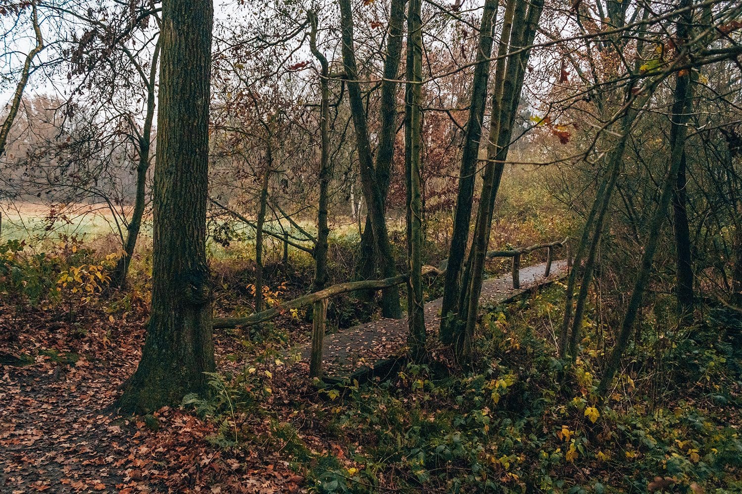 smokkelroute