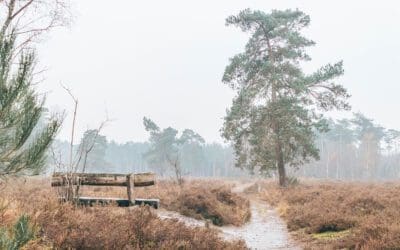 Boswachterspad Smokkelroute 