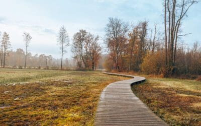 10 mooiste vlonderpaden in Nederland 