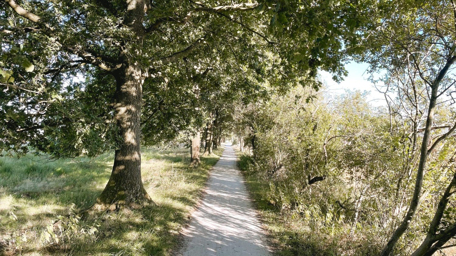 wandelroutes Dwingelderveld