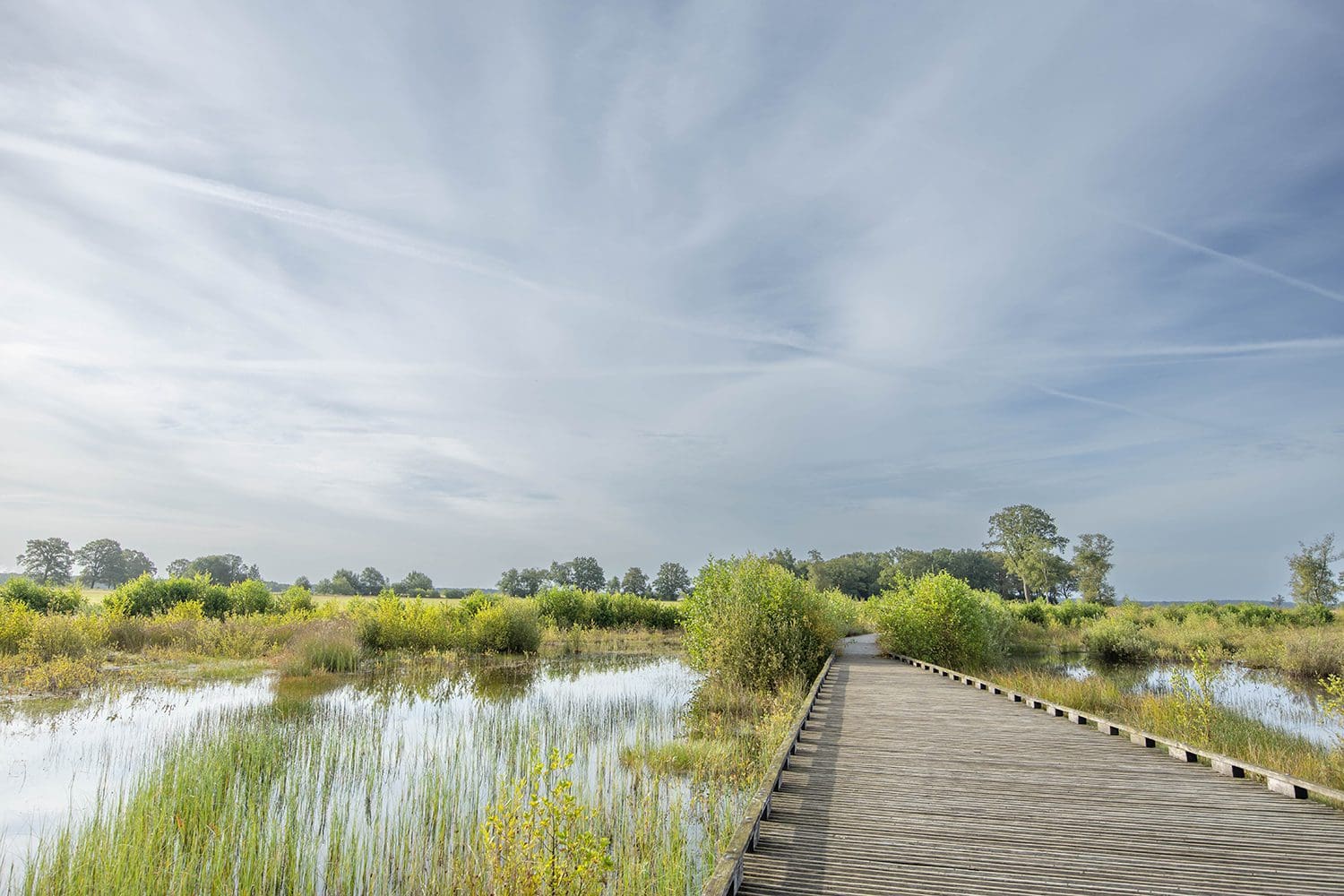 wandelroutes Dwingelderveld