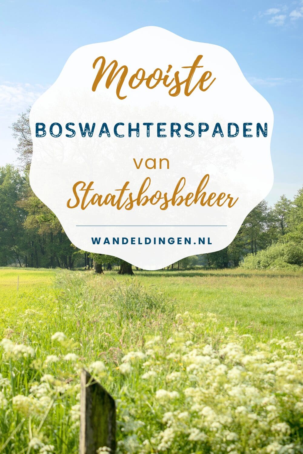 boswachterspad