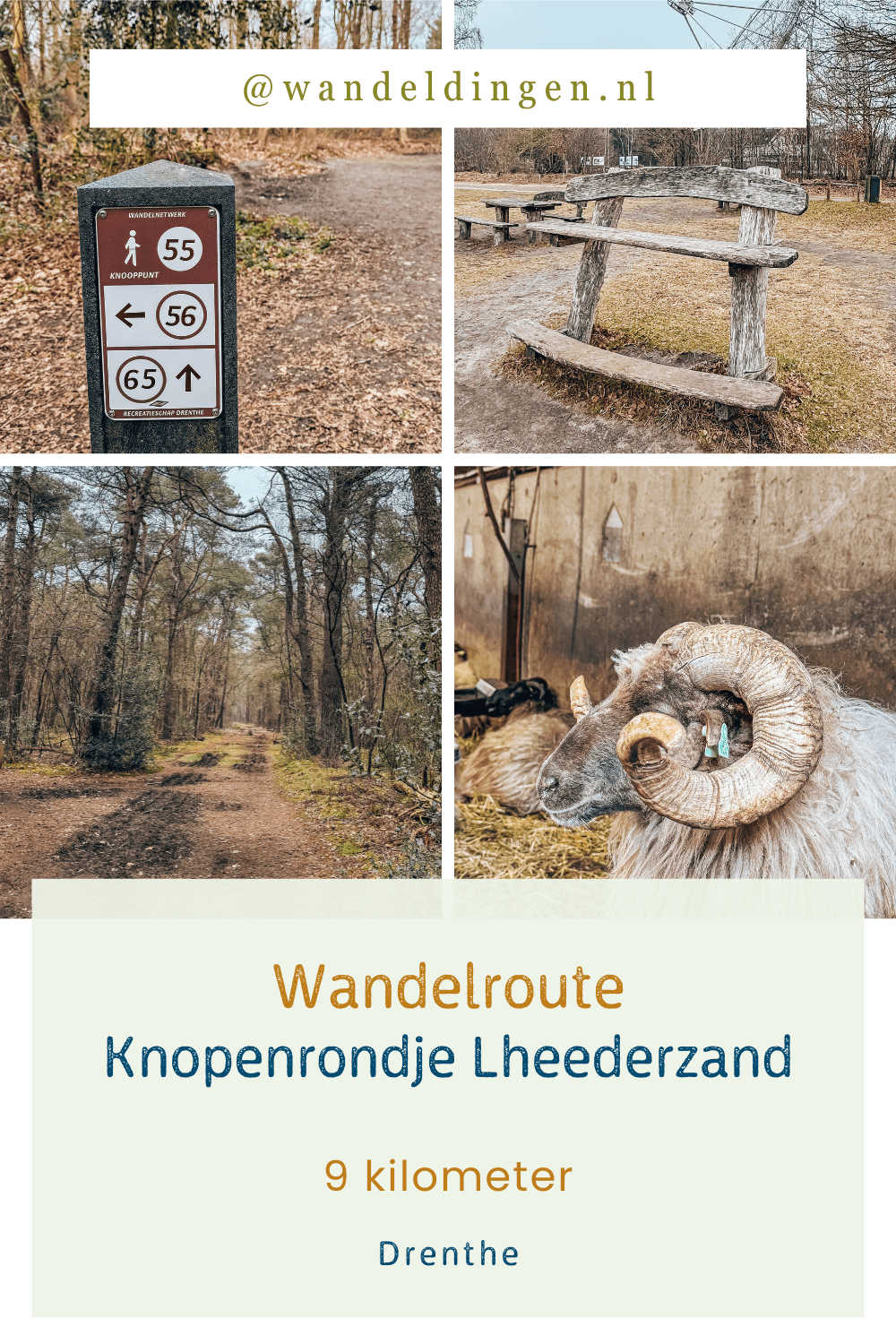 Lheederzand
