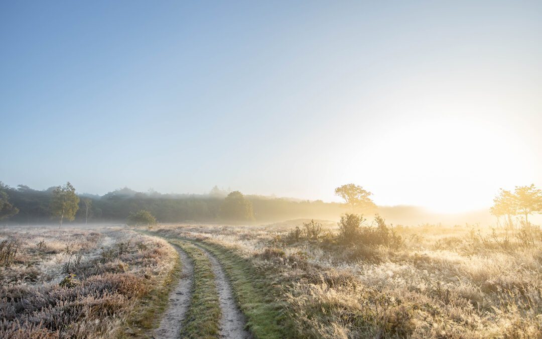 10x Boswachterspad Staatsbosbeheer 
