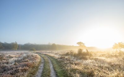 10x Boswachterspad Staatsbosbeheer 