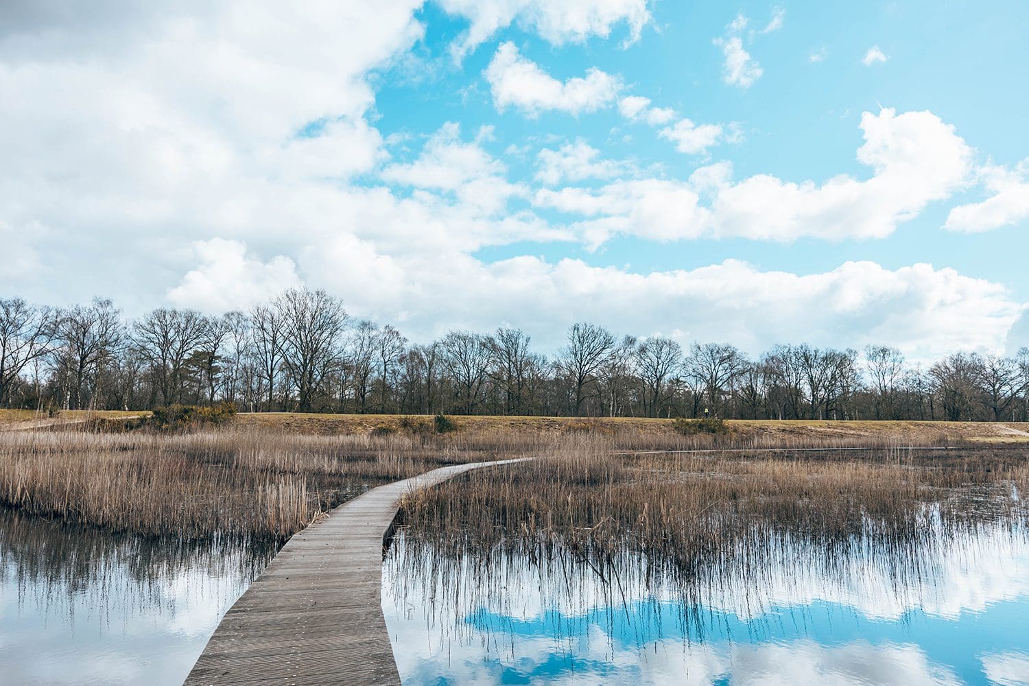 wandelroute spanderswoud