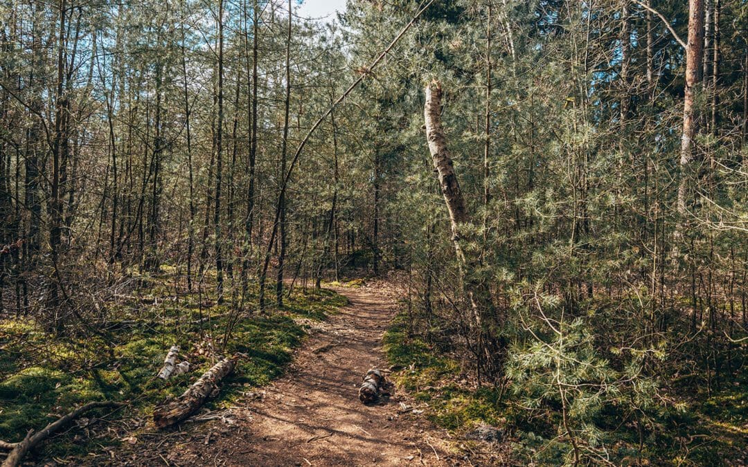 wandelroute spanderswoud