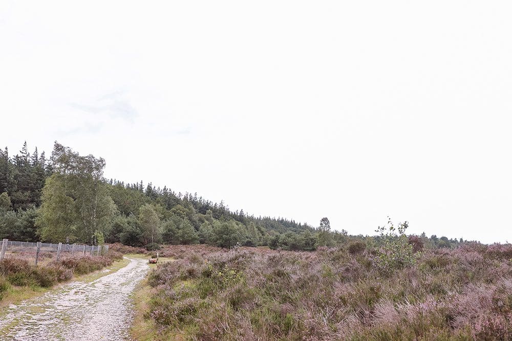 boswachterspad