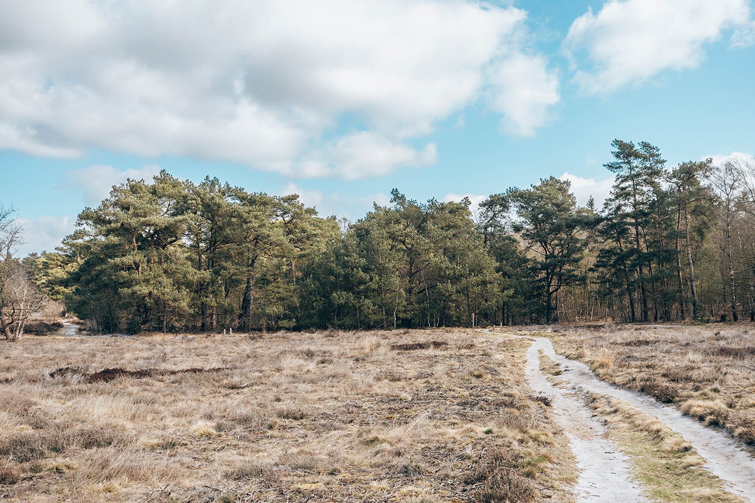Trage Tocht Zwolse Bos Trage Tocht Zwolse Bos