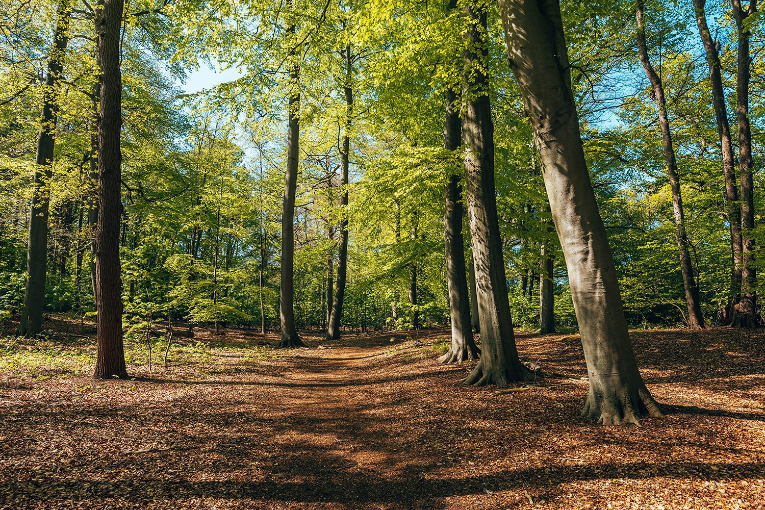 Komootroute Landgoed De Horsten Komootroute Landgoed De Horsten