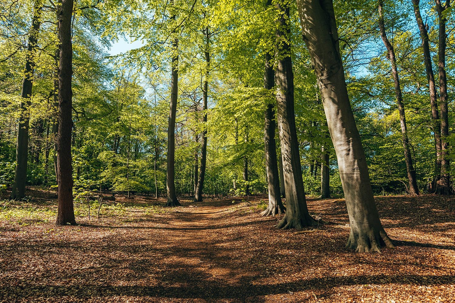 Komootroute Landgoed De Horsten