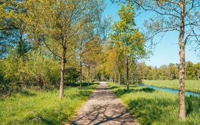 Komootroute Landgoed De Horsten 