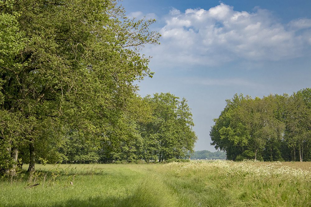 boswachterspad boswachterspad
