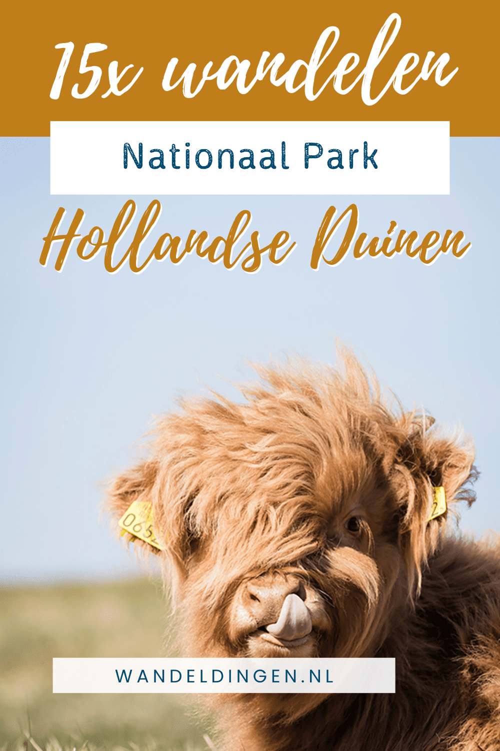 Nationaal Park Hollandse Duinen Nationaal Park Hollandse Duinen