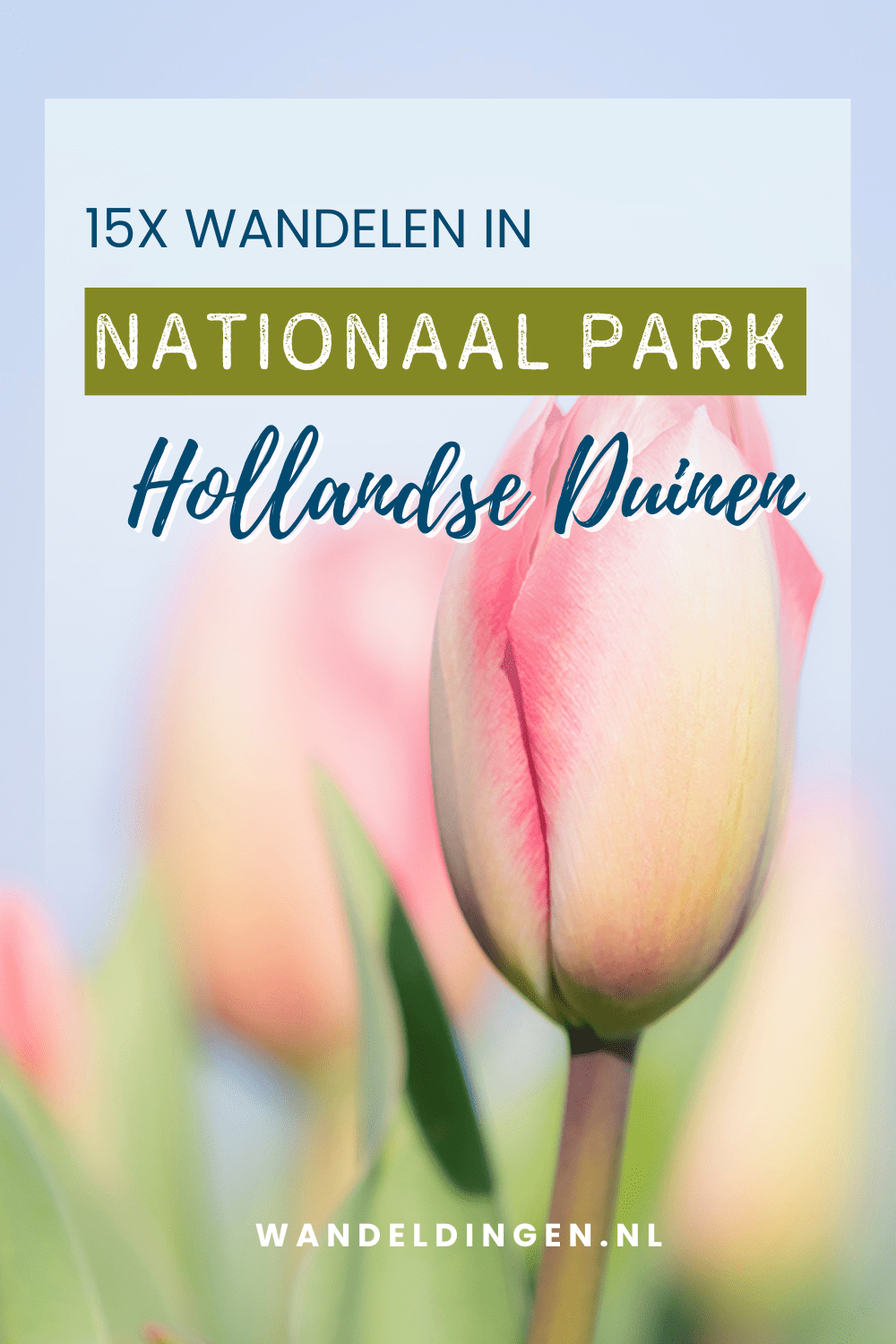 Nationaal Park Hollandse Duinen