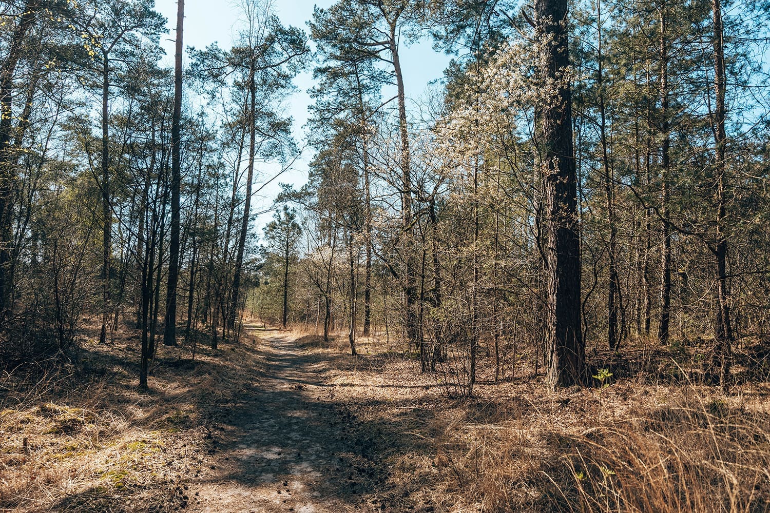 wandelroute Kortenhoeff