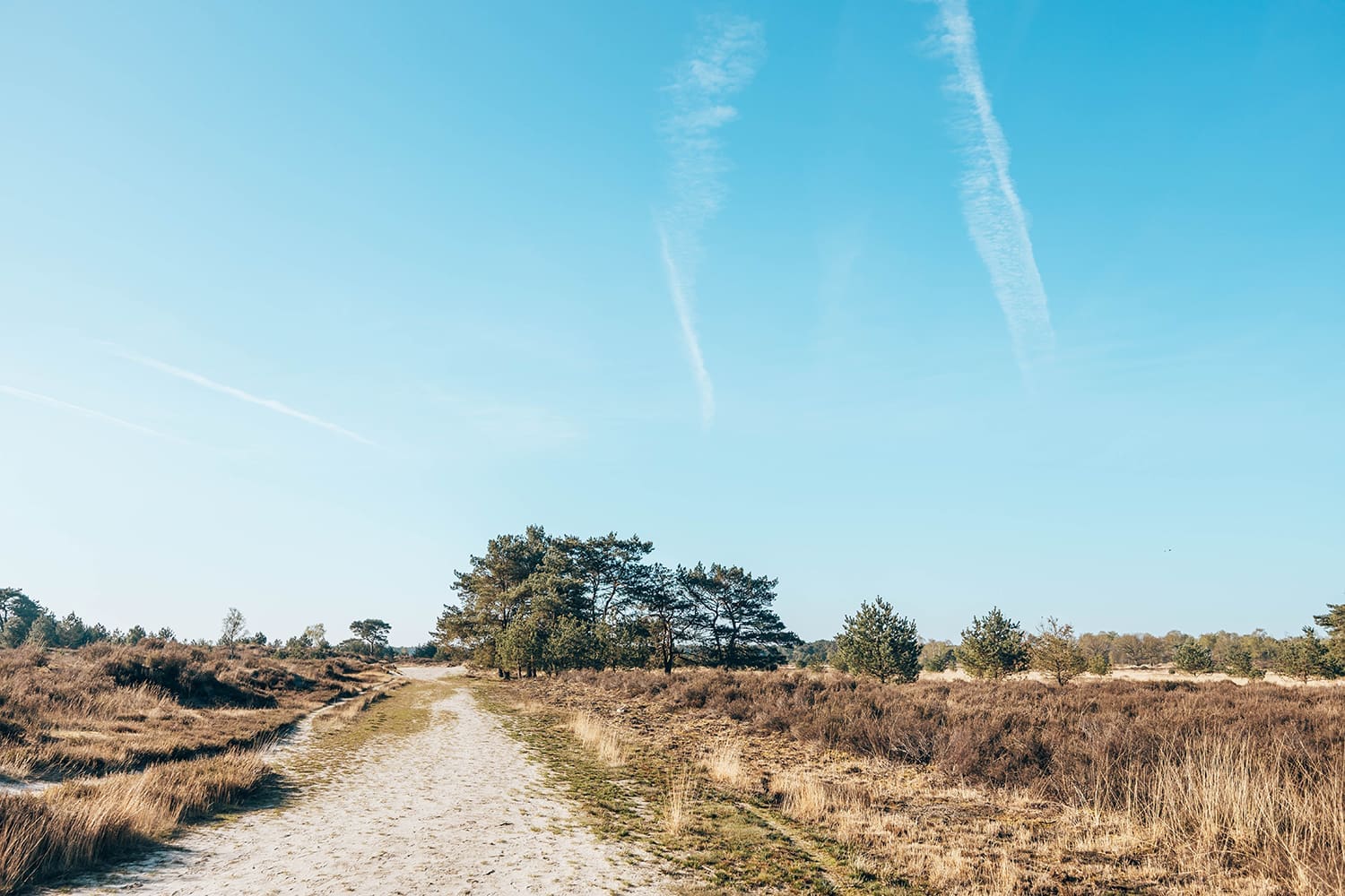 wandelroute duin wandelroute duin
