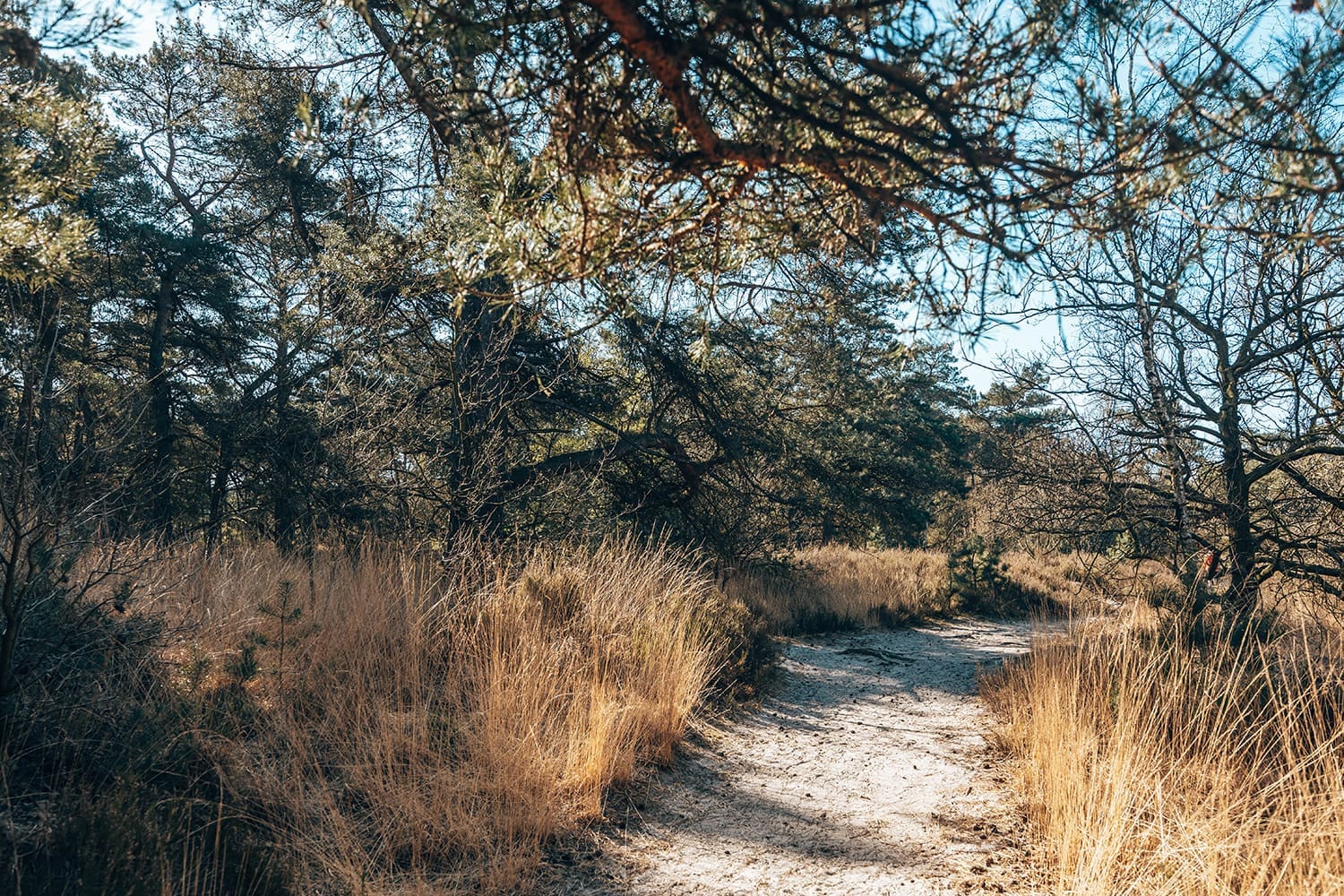 wandelroute duin wandelroute duin