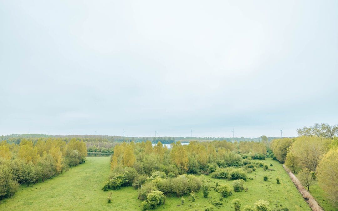 Boswachterspad Stille Kern