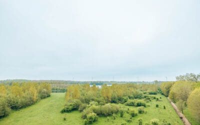 Boswachterspad Stille Kern  