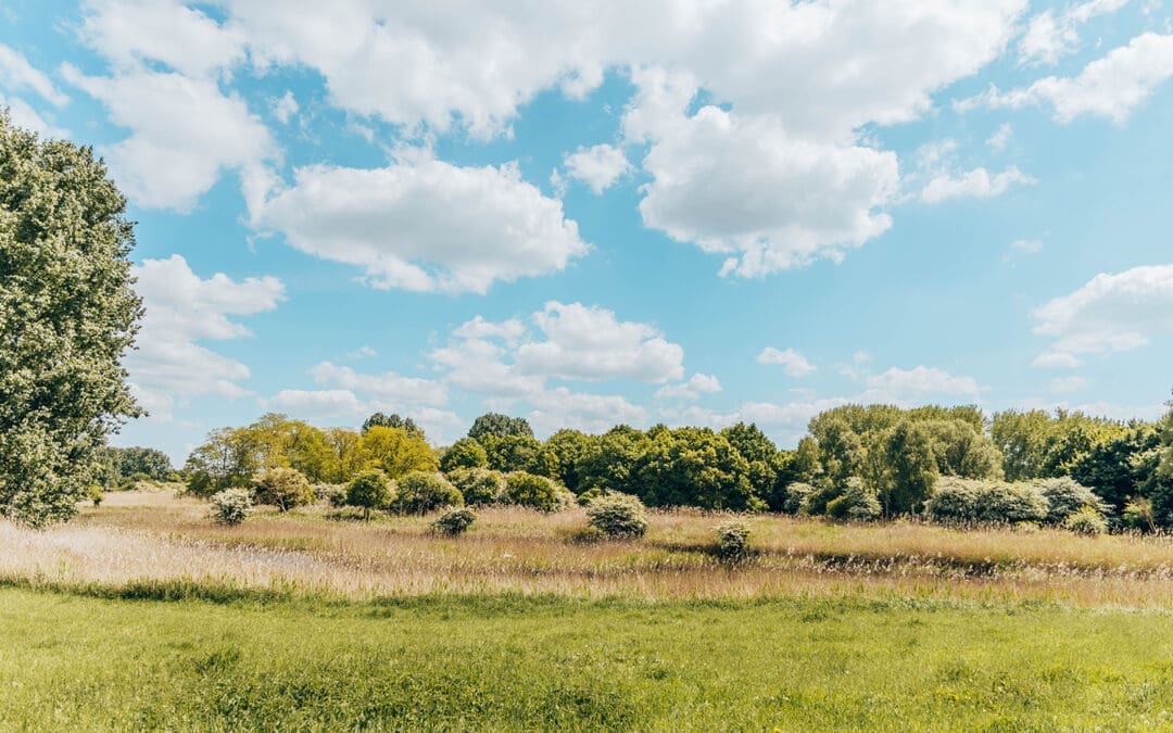 Natuurpark Lelystad